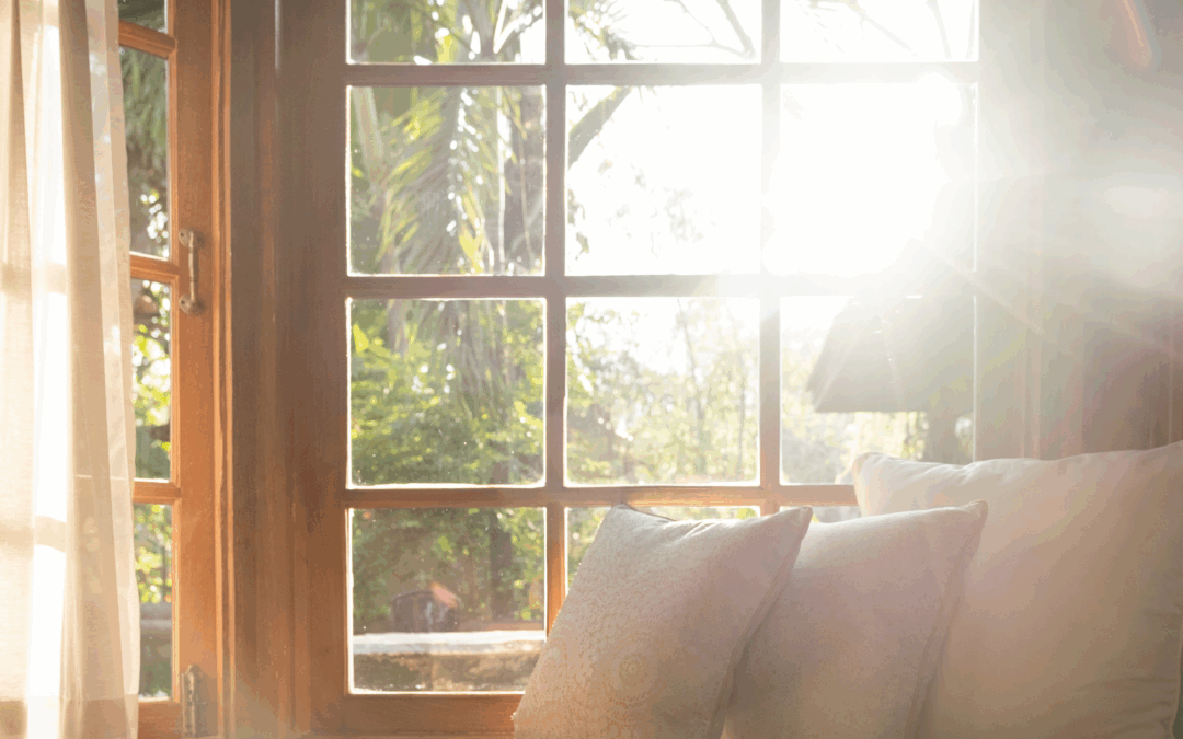 view outside a home through window with sun shining in