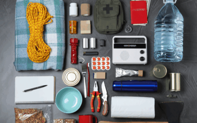 Organizing for Emergencies